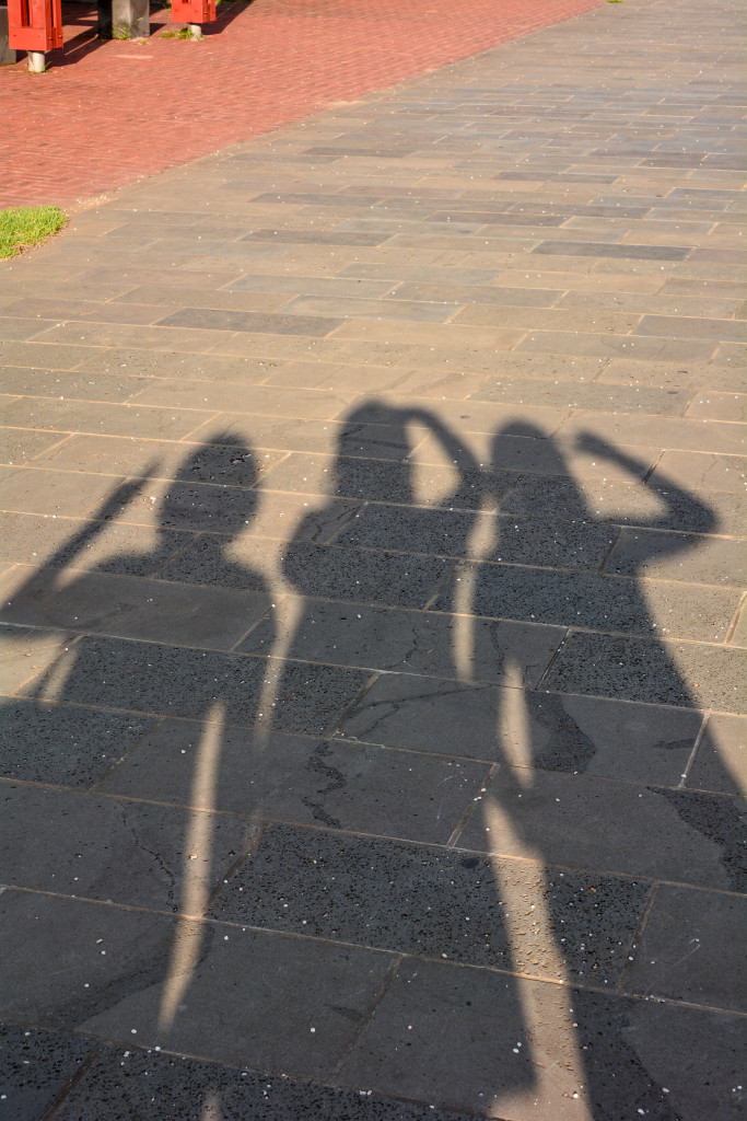Our sisterly shadow pose!